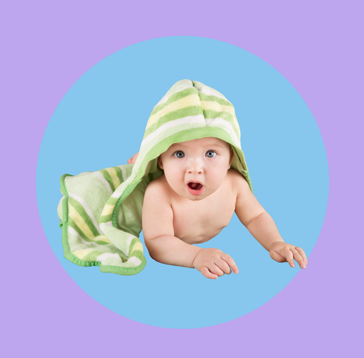 3 a 6 meses